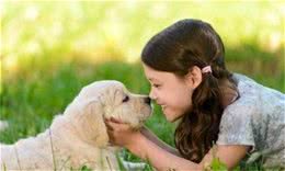 狗与你鼻吻，别想歪，它只想表达这几个意思