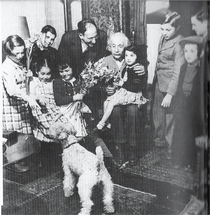 我们真的需要这么多种家庭犬吗?设计狗当道，土狗却沦为濒危