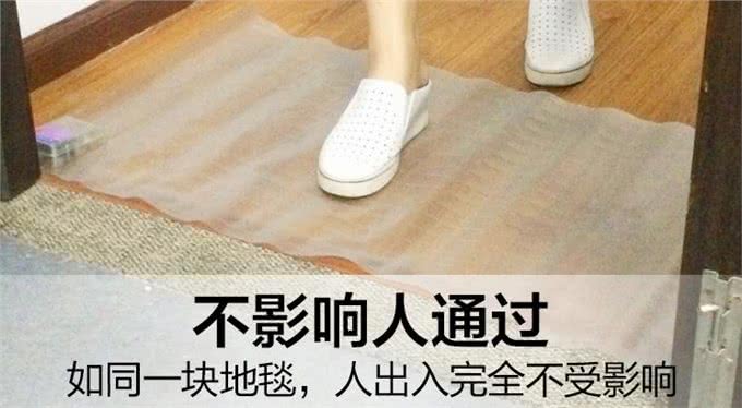 纠正狗狗到处翻垃圾桶捡食吃的坏习惯
