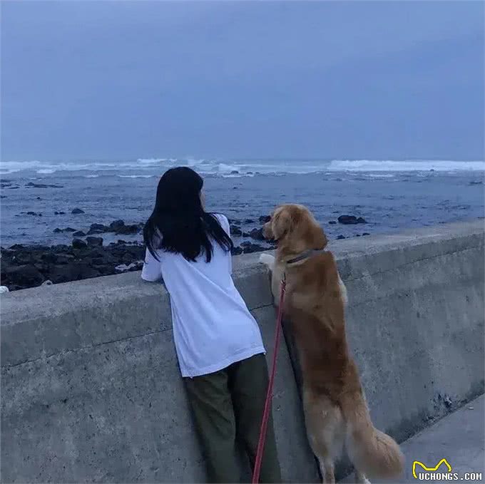 养狗狗，你需要注意这几点