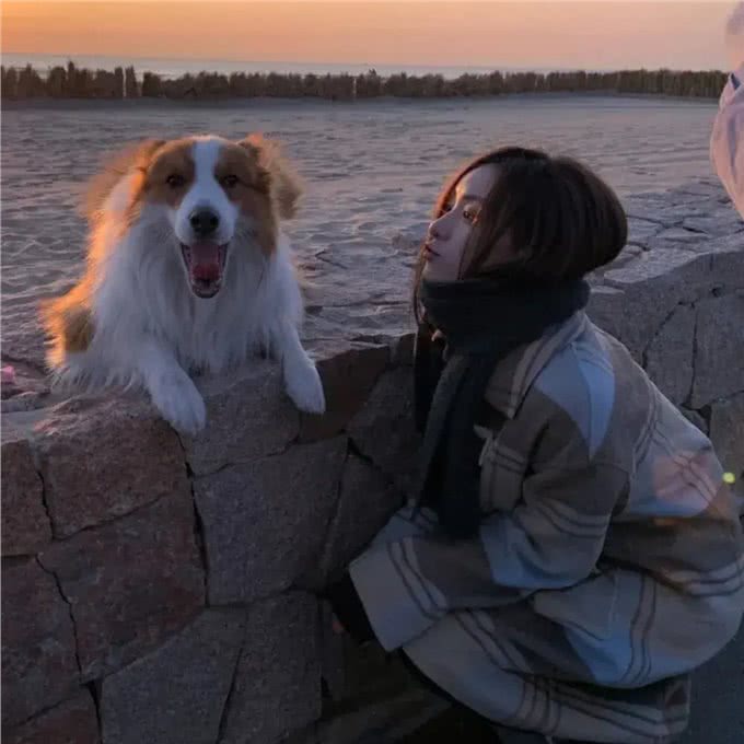 养狗狗，你需要注意这几点
