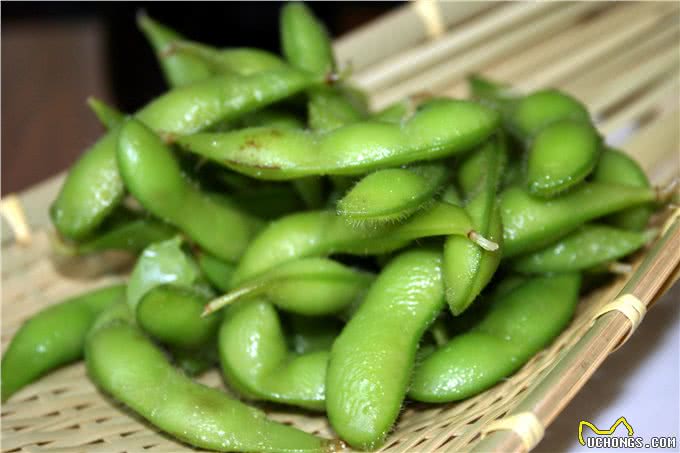 毛豆营养丰富又低卡，只要处理方法妥当，狗狗也能放心吃