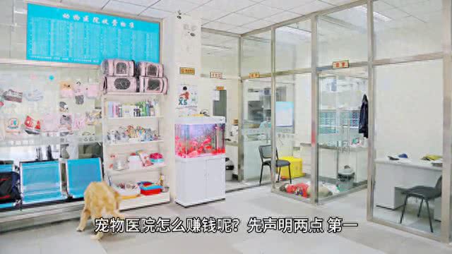 狗狗生病了怎么办?可以吃人用的药吗?