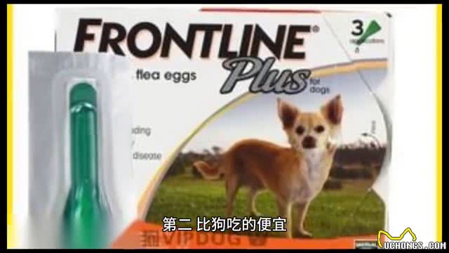 狗狗生病了怎么办?可以吃人用的药吗?