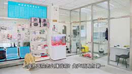 狗狗生病了怎么办?可以吃人用的药吗?