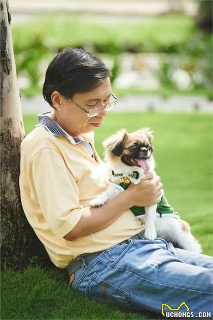 没有被狗咬过,看到狗就十分害怕,怎么办?