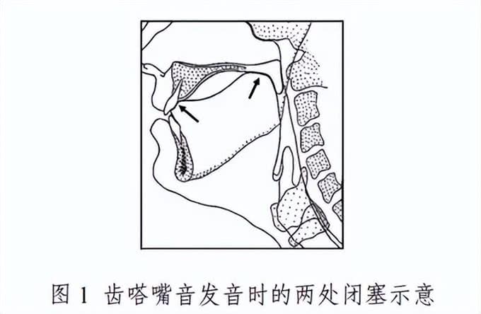 为什么嘬嘬嘬是全国统一的叫狗方式?