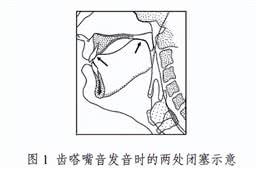 为什么嘬嘬嘬是全国统一的叫狗方式?