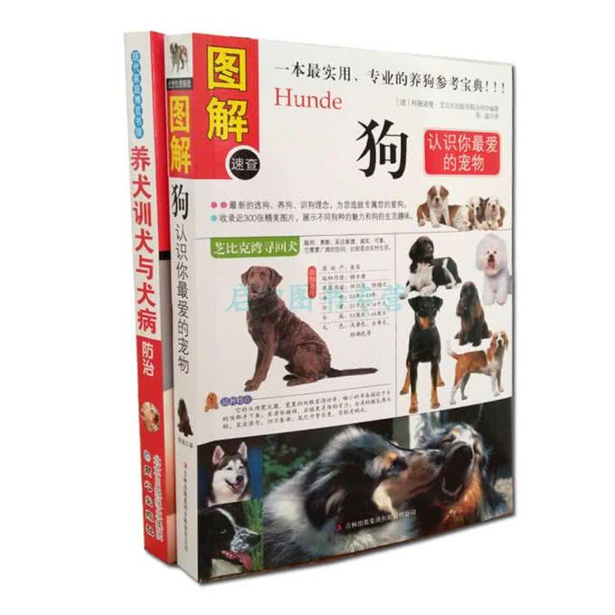关于狗狗的肢体语言，看完就会啦