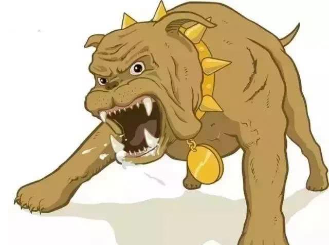 揭秘狗狗微表情，从此读懂狗狗思想