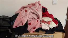 当你拥有一只掉毛毛的狗狗?—狗掉毛