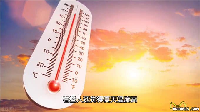 科学养狗之马上夏天了—养狗经验分享