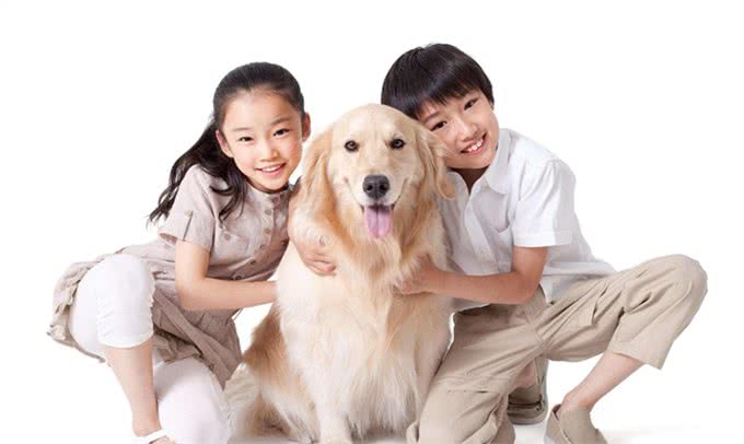 训练狗狗都有哪些方法?很听话的狗狗是怎么训练出来的?