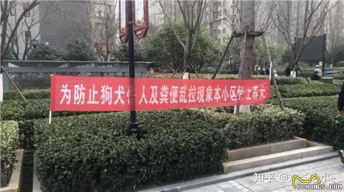 关于户外宠物狗在路上大小便的问题，我们一起聊一聊