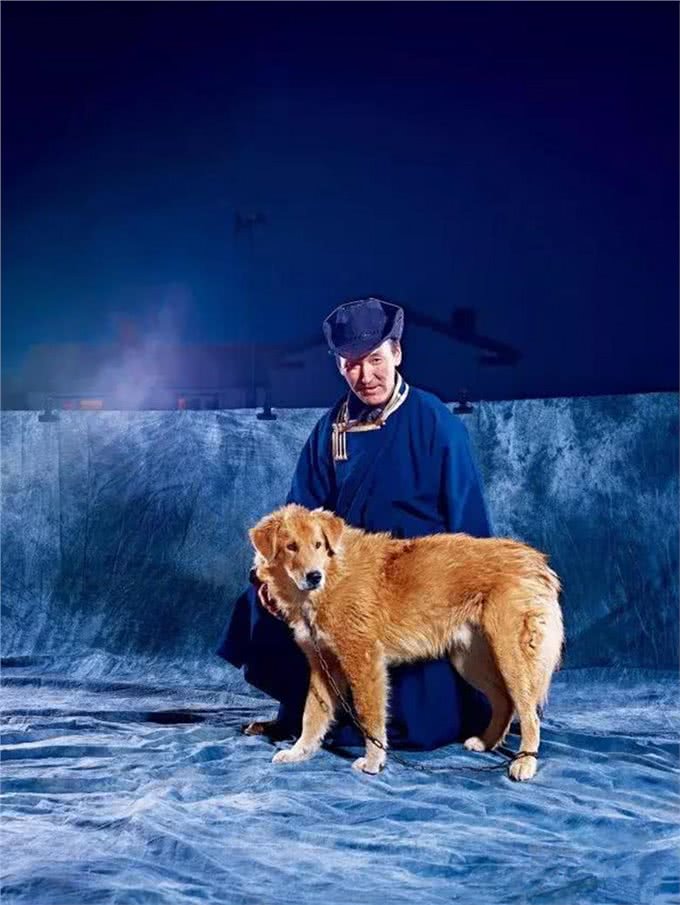 蒙古牧羊犬,古老东方咬狼犬一种能够驱赶并杀死狼的大型猛犬