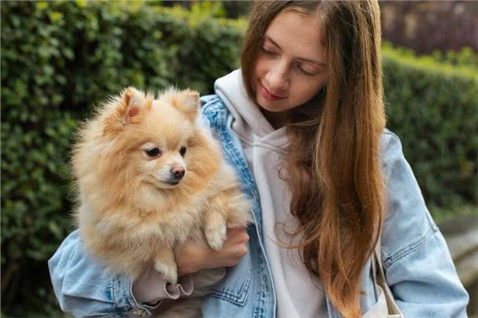 博美犬的优缺点有哪些