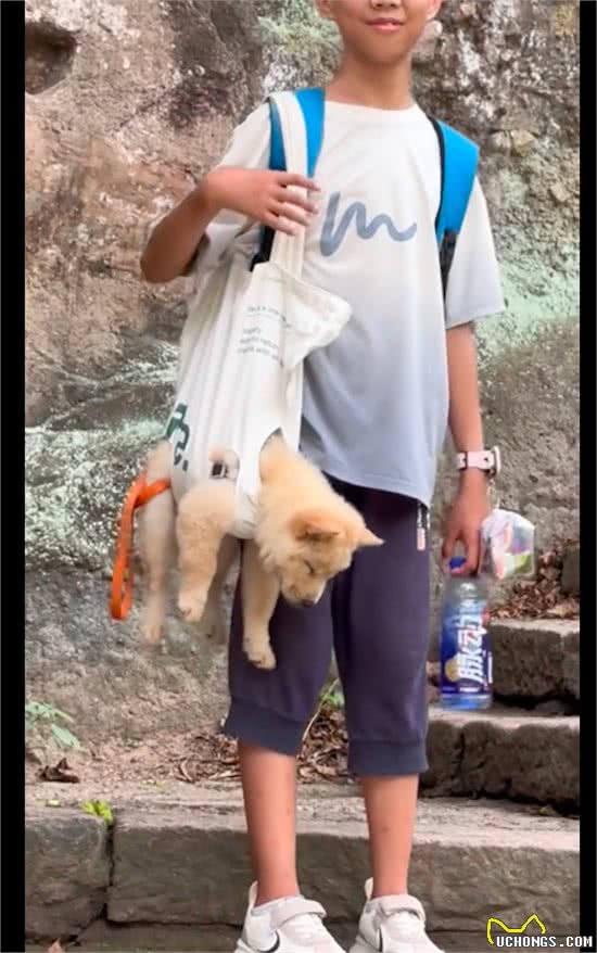 带狗狗一起爬山，它累得昏昏欲睡，小主人只好背着它!狗：毁灭吧
