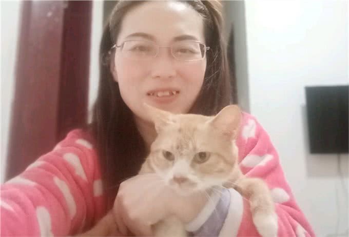 从流浪猫的三种猫生，我看清楚了三种不同的人性