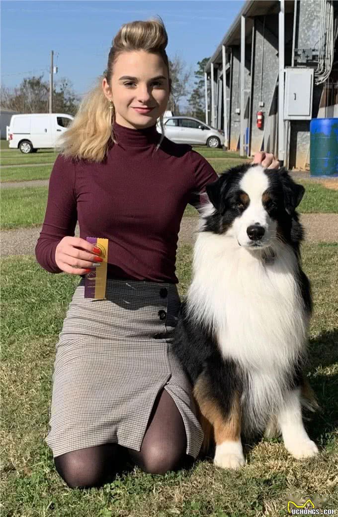 最长寿狗狗TOP8榜单，中华田园犬排第一