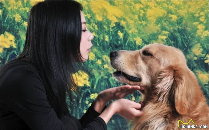 主人在狗狗眼中的地位表!快看看你是它的谁