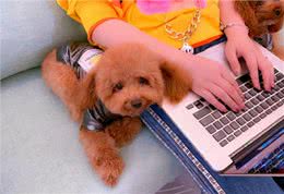 一只狗把你当成父母，就会有这几个表现