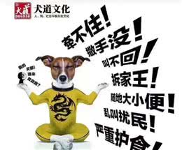 如何定义狗的坏习惯,我们又该如何应对呢?