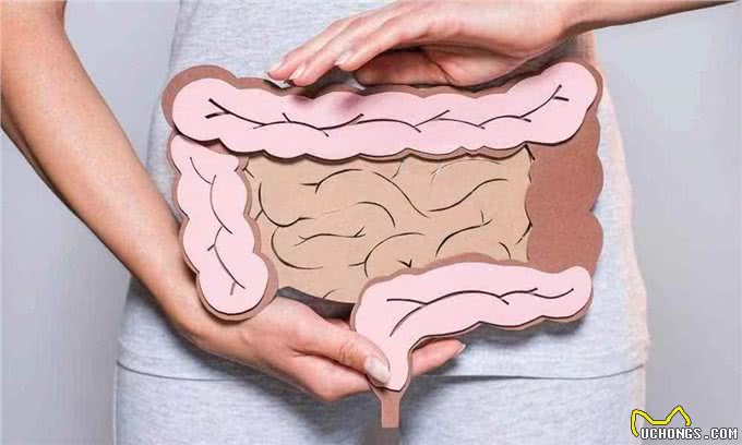为什么人类觉得生物拉出来的排泄物是臭的?狗也这么认为吗?