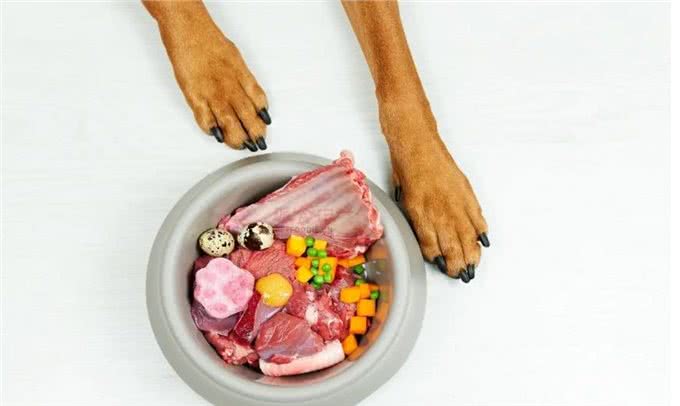 犬粮之谜：生食、自制还是干粮?一场关乎爱犬生死的悬疑抉择