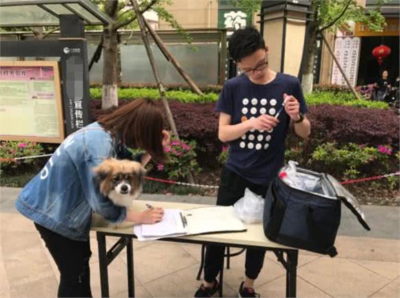 辟谣，狗狗并不需要每年接种疫苗，且昂贵犬八联与六联相差无几!