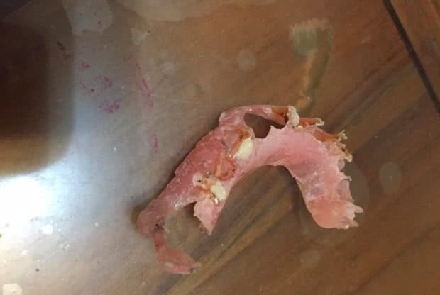 听到爱犬把阿婆的假牙嗑了好担心!主人奔回家却被气到哭