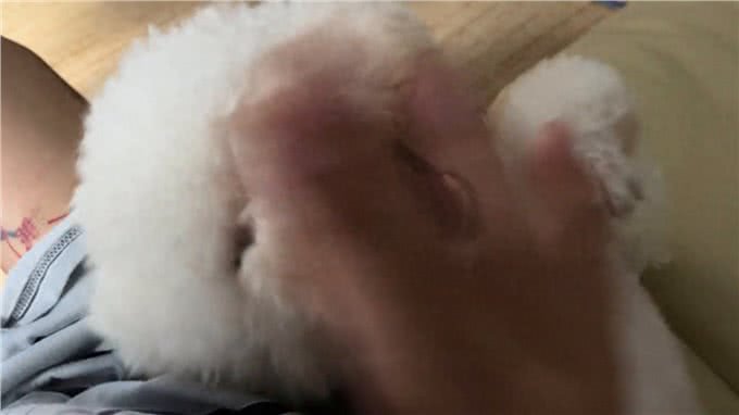 宝子们一定要区分犬窝咳和倒吸气哦，这两者是有本质区别的呢～