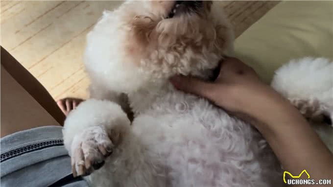 宝子们一定要区分犬窝咳和倒吸气哦，这两者是有本质区别的呢～