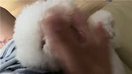 宝子们一定要区分犬窝咳和倒吸气哦，这两者是有本质区别的呢～