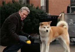 狗狗记住主人只需3个月，忘记主人要多久?答案你想不到