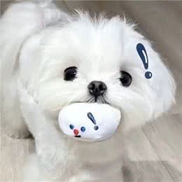 这些厨余垃圾可以给狗狗吃!（上）