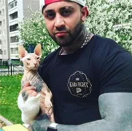 那只有纹身的加拿大无毛猫，终究还是逃走了，它真的走了