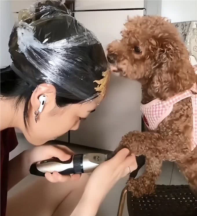 狗子不愿意剃脚毛，女子头捆保鲜膜涂了肉泥:这主意不错吧?