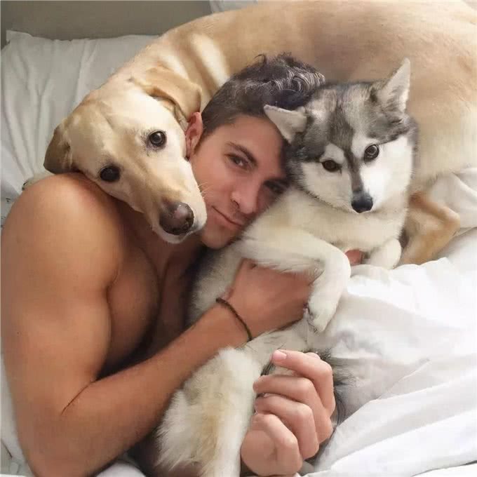 别再乱花钱了，相比狗窝，它们更爱在这些地方睡觉