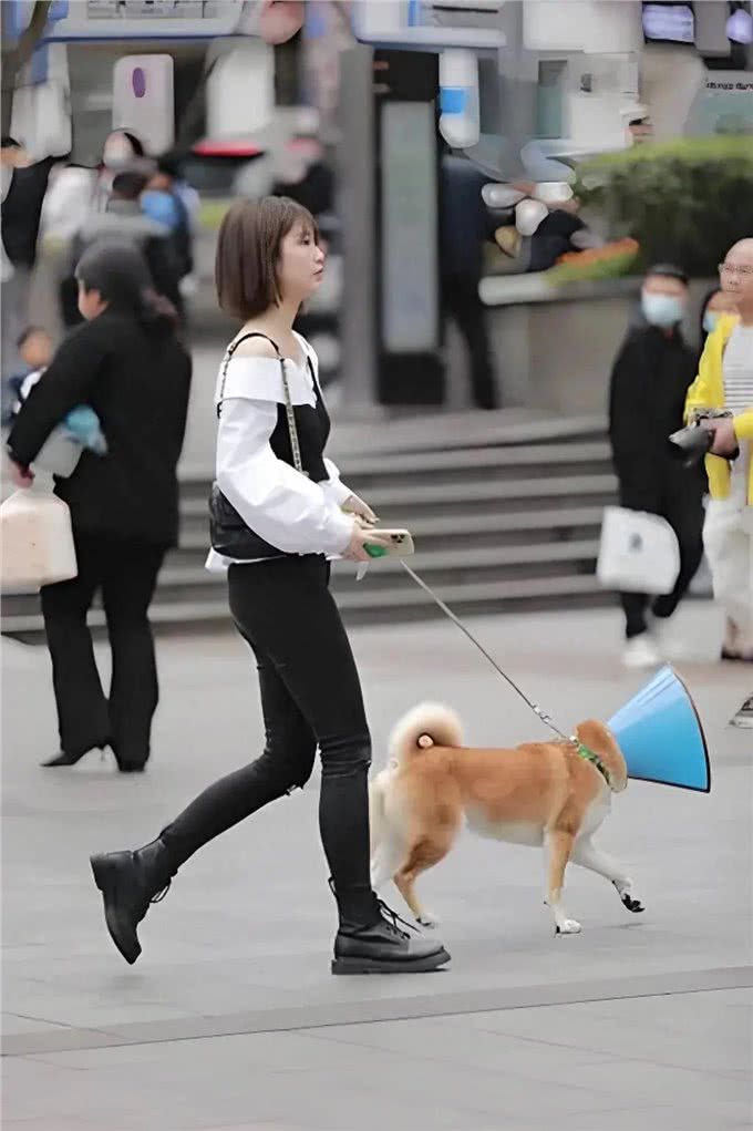 狗狗的世界,充满了好奇与探索的欲望而遛狗