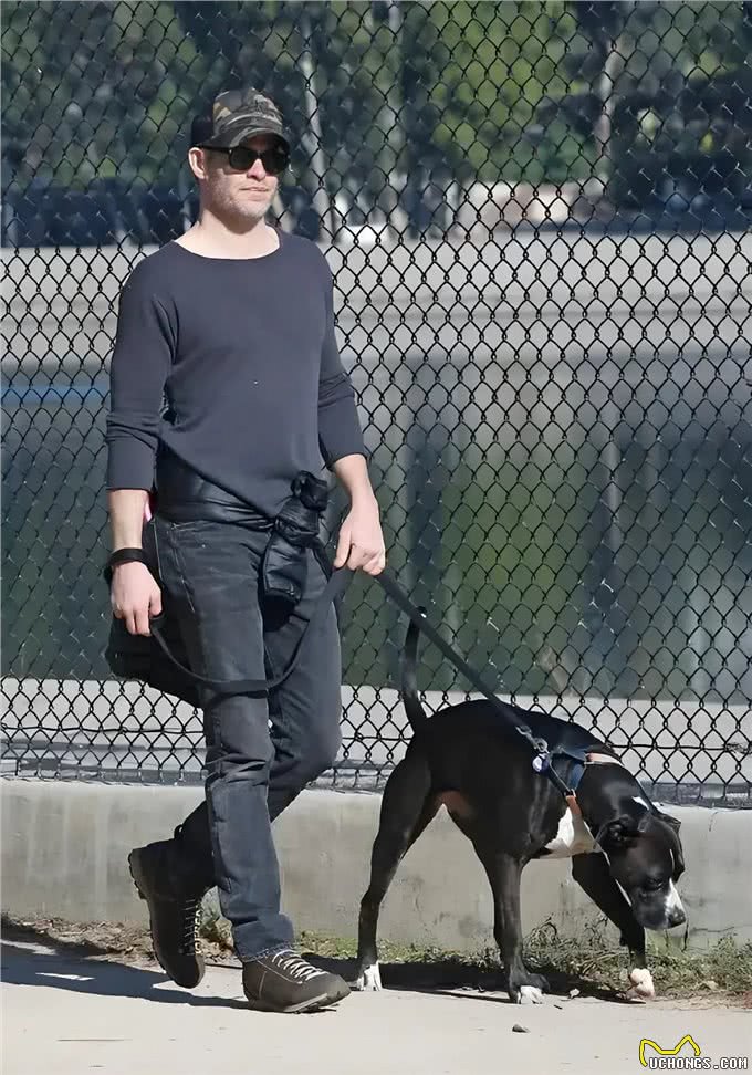 狗狗的世界,充满了好奇与探索的欲望而遛狗