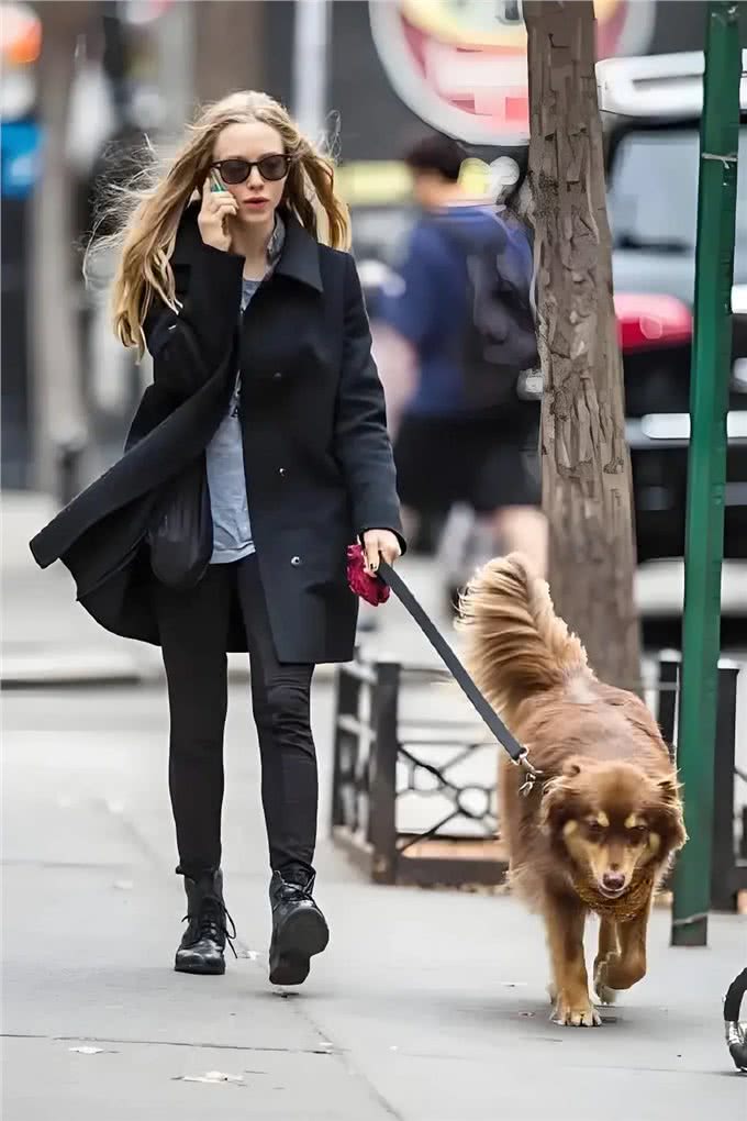 狗狗的世界,充满了好奇与探索的欲望而遛狗