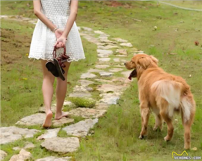 狗狗的世界,充满了好奇与探索的欲望而遛狗