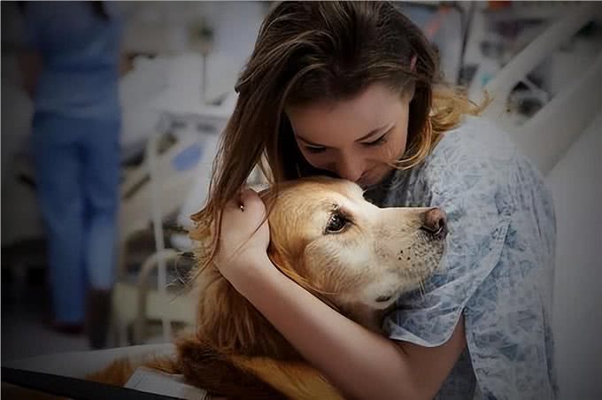 养狗的好处和坏处,一文总结!网友:过于真实了