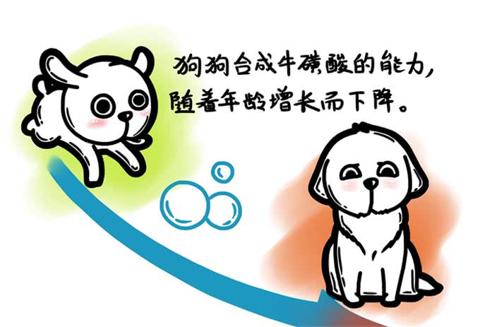牛磺酸，无谷狗粮与狗狗的扩张型心肌病