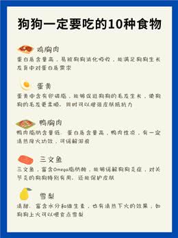 狗狗一定要吃的10种食物，很健康