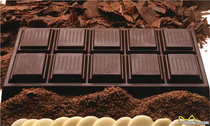 狗为什么不能吃巧克力,葡萄,尤其是洋葱