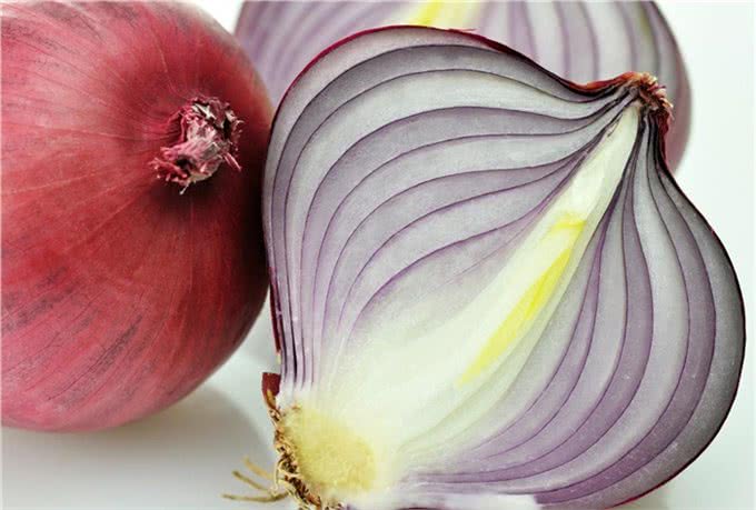 狗为什么不能吃巧克力,葡萄,尤其是洋葱