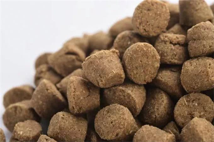 为什么要喂烘焙猫狗粮?比普通膨化粮好消化，减少致癌物，更健康