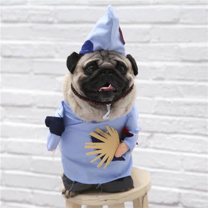 不得不说,铲屎官给狗狗取得这些名字,实在让人佩服