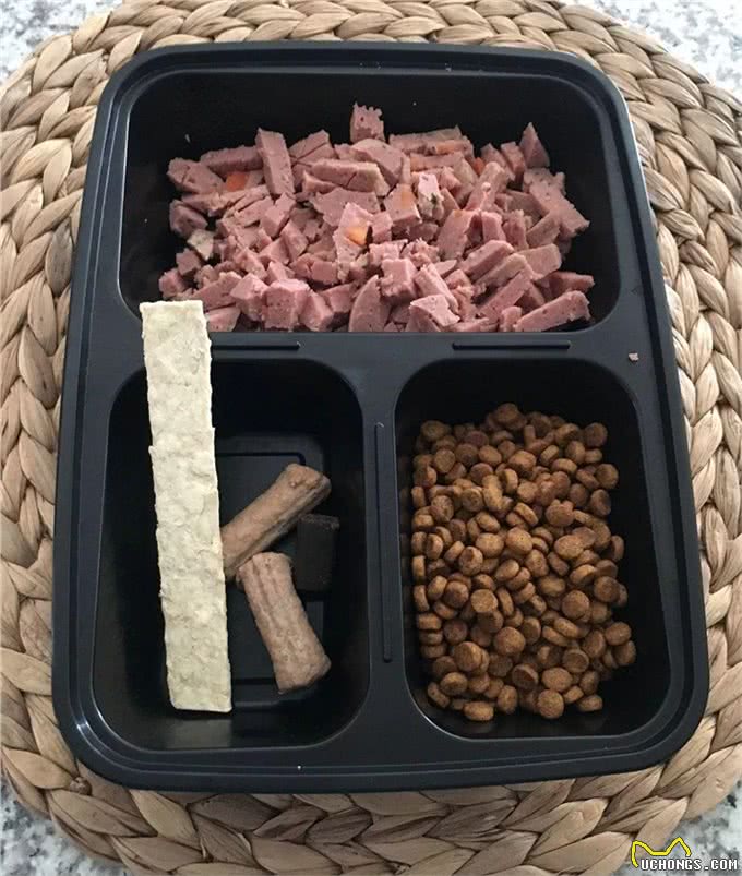 励志!狗狗1年减掉90斤,曾胖到无法行走